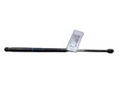 Tailgate/trunk strut/damper