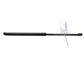 Tailgate/trunk strut/damper