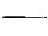 Tailgate/trunk strut/damper