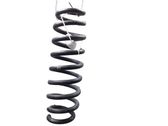 Rear coil spring