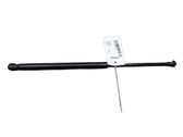 Tailgate/trunk strut/damper