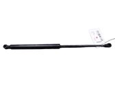 Tailgate/trunk strut/damper
