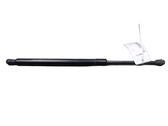 Tailgate/trunk strut/damper