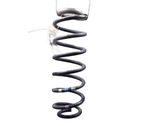 Rear coil spring