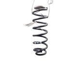 Rear coil spring