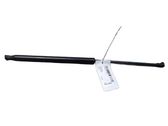 Tailgate/trunk strut/damper