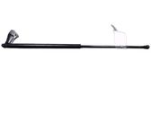Tailgate/trunk strut/damper