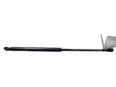Tailgate/trunk strut/damper