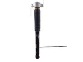 Rear shock absorber/damper