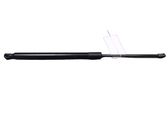 Tailgate/trunk strut/damper