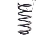 Rear coil spring
