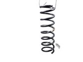 Rear coil spring