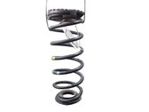 Rear coil spring
