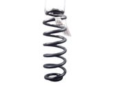 Rear coil spring