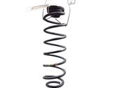 Rear coil spring