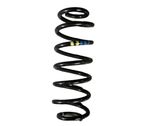 Rear coil spring