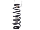 Rear coil spring