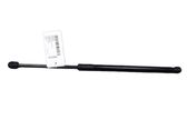 Tailgate/trunk strut/damper