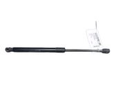 Tailgate/trunk strut/damper