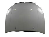 Engine bonnet/hood