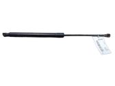 Tailgate/trunk strut/damper