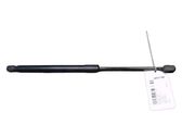 Tailgate/trunk strut/damper