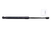 Tailgate/trunk strut/damper
