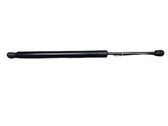 Tailgate/trunk strut/damper