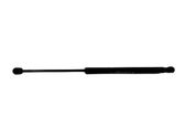 Tailgate/trunk strut/damper