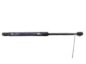 Tailgate/trunk strut/damper