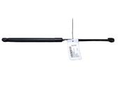 Tailgate/trunk strut/damper