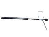 Tailgate/trunk strut/damper