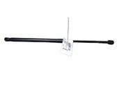 Tailgate/trunk strut/damper