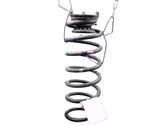 Rear coil spring