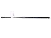 Tailgate/trunk strut/damper