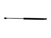 Tailgate/trunk strut/damper