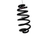 Rear coil spring