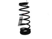 Rear coil spring