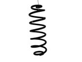 Rear coil spring