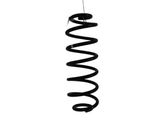 Rear coil spring