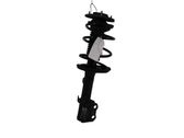 Front shock absorber/damper
