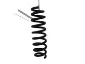 Rear coil spring