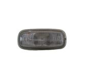 Front fender indicator light