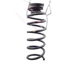 Rear coil spring