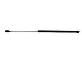 Tailgate/trunk strut/damper