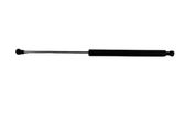 Tailgate/trunk strut/damper