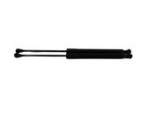 Tailgate/trunk strut/damper