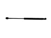 Tailgate/trunk strut/damper