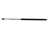 Tailgate/trunk strut/damper