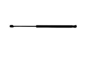 Tailgate/trunk strut/damper